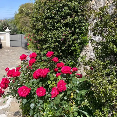 Les Trefles